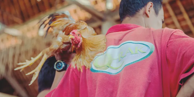 Cửa cược quen thuộc giúp nâng cao tỷ lệ chiến thắng cho người chơi