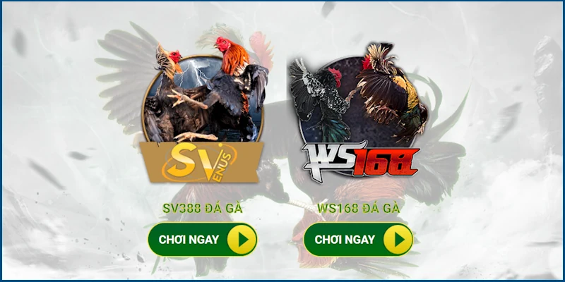 Hai sảnh Đá Gà tuyệt đỉnh tại nền tảng