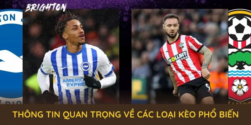 Các thông tin quan trọng về các loại kèo phổ biến tại sảnh thể thao QQ88